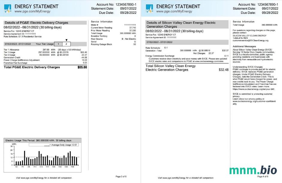 Usa California PG &E (Pacific Gas and Electric Firma) rachunek za media, szablon Word i PDF, 6 stron 3 4
